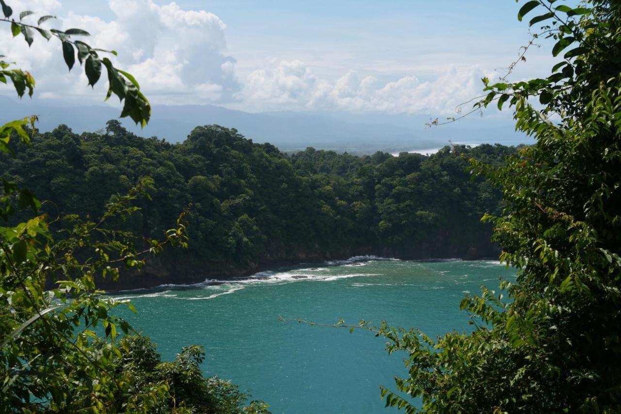 Buena Onda Jungle Lodge 오호찰 외부 사진