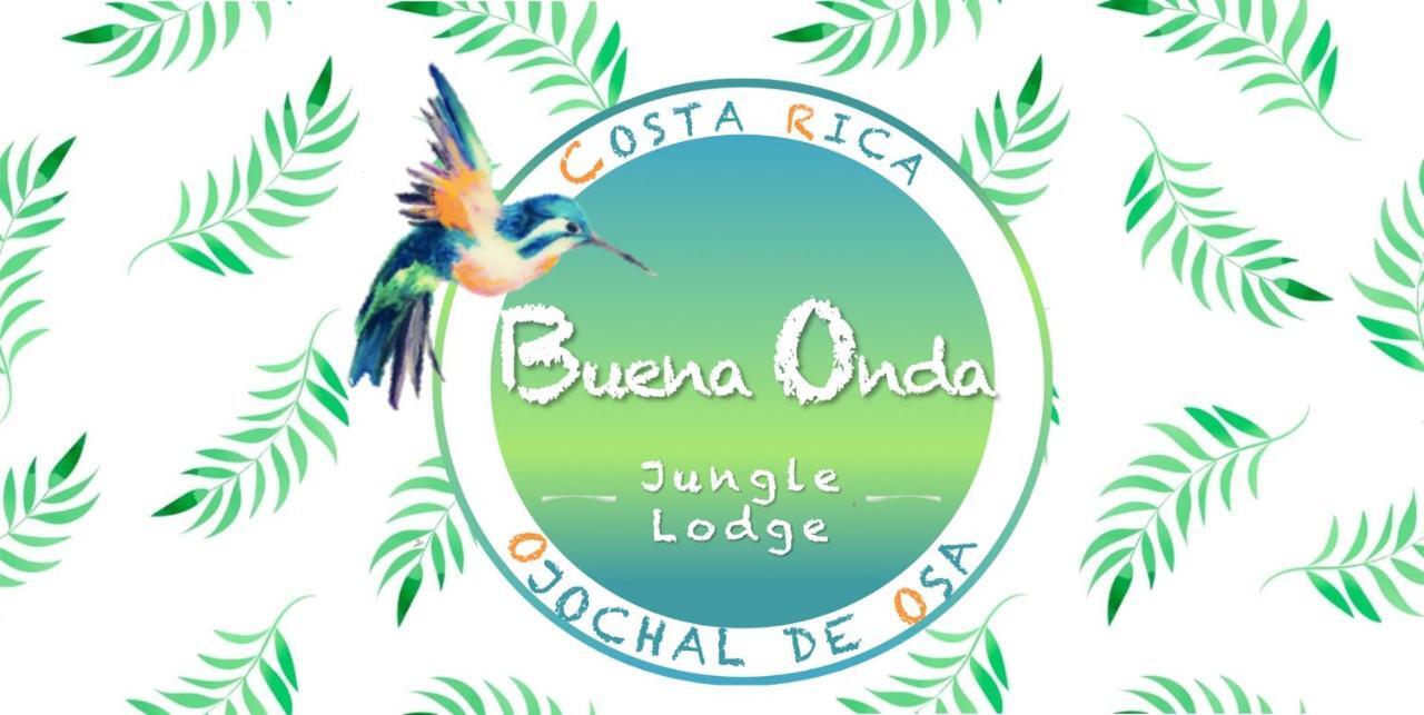 Buena Onda Jungle Lodge 오호찰 외부 사진